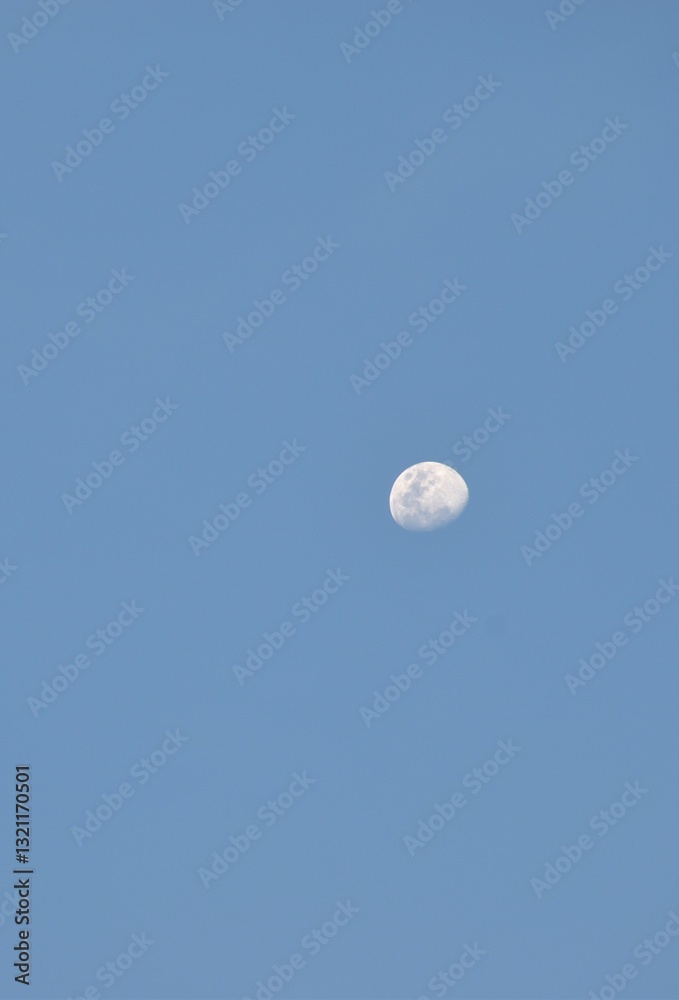 half moon floating on blue sky in twilight background half moon floating on blue sky in twilight background