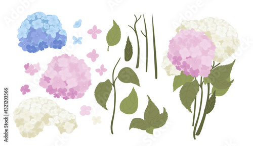 Hydrangea flower set with blooms, buds, petals, stems, leaves, and seedlings vector illustration