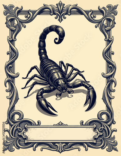 Intricate Vintage Illustration of a Scorpion