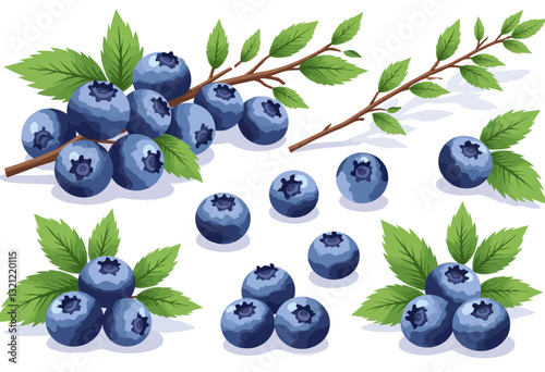 Blueberry Illustration with Leaves, Branches, and Berries.