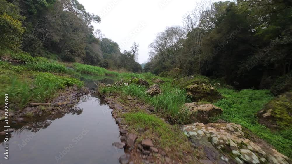 FPV drone shot capturing a peaceful river surrounded by lush green vegetation. The drone flies smoothly over the water, showcasing the serene environment. FPV drone shot capturing a peaceful river surrounded by lush green vegetation. The drone flies smoothly over the water, showcasing the serene environment.
