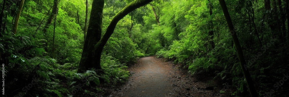 Naklejka premium A captivating view of a meandering pathway surrounded by dense green foliage, inviting viewers to explore nature's beauty and enjoy a peaceful stroll.