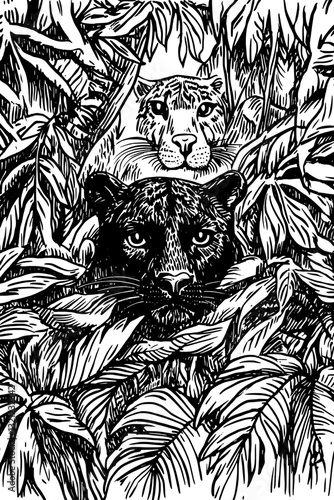 Intricate engraving of a panther and tiger hidden among dense jungle foliage in a stunning vector art style