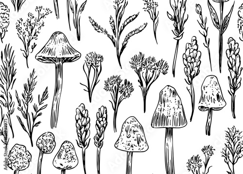 Elegant engraved botanical design featuring mushrooms and wildflowers for unique tattoo or packaging ideas