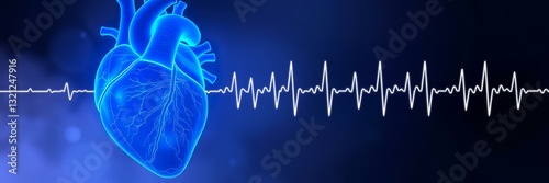 Heart Health Monitoring – Cardiac Care, Medical Imaging, ECG Analysis, Heartbeat Tracking, Cardiovascular Diagnosis photo