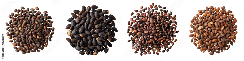 This image presents an assortment of roasted coffee beans in an array of shades from dark and bold to light and mellow This image presents an assortment of roasted coffee beans in an array of shades from dark and bold to light and mellow