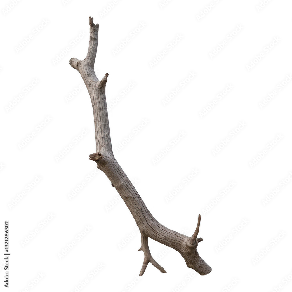 Obraz premium Natural wooden branch, rustic texture with natural curves, ideal for crafting or decoration, showcases organic beauty. Isolated on white background or PNG