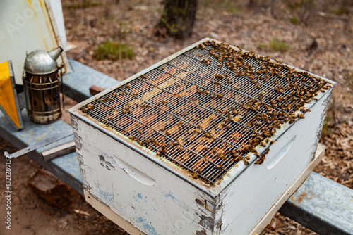 Queen excluder on brood box of beehive