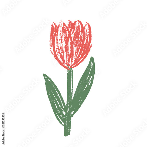 Tulip flower crayon drawn. Spring crocus plant doodle isolated on white background. Summer floral kids element. Chalk or pastel style childish scrawl nature shape. Vector naive illustration by pencil.