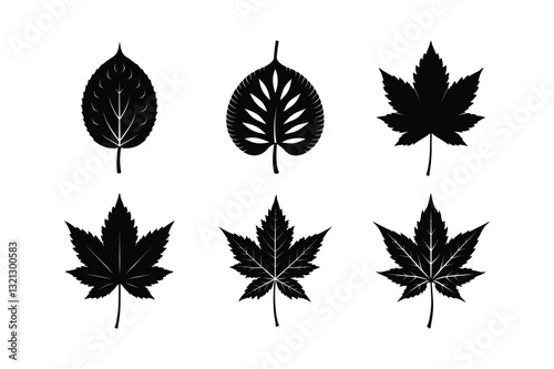 world famous decorative leaves vector illustration