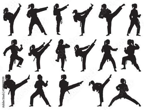  TAEKWONDO GIRL SILHOUETTE WHITE BACKGROUND