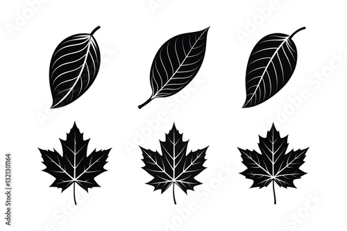 world famous decorative leaves vector illustration