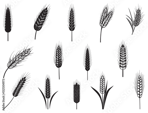 WHEAT SILHOUETTE WHITE BACKGROUND