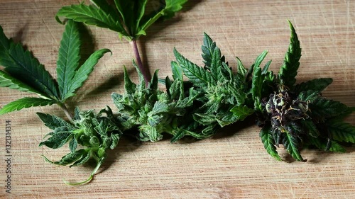 medical cannabis marijuana flower close up