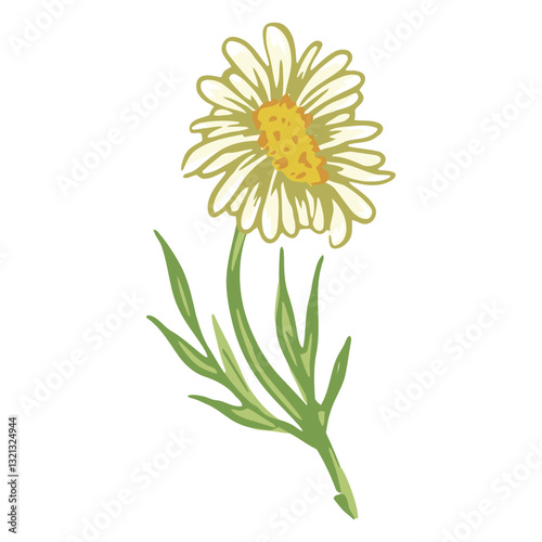 Daisy in Bloom: A delicate daisy, with pristine white petals and a golden center, stands tall against a vibrant green backdrop, its presence a testament to nature's simplicity.