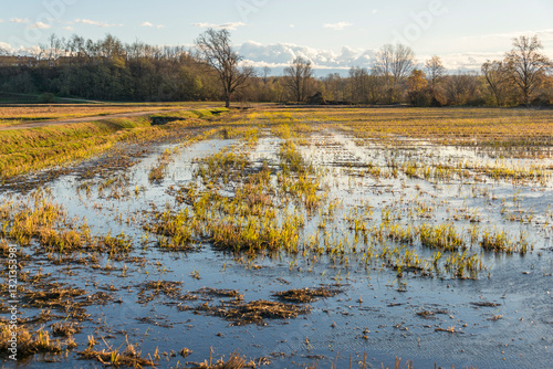 autumnal landscape inside the Santa Sofia ring on the Ticino river, Pavia, Italy