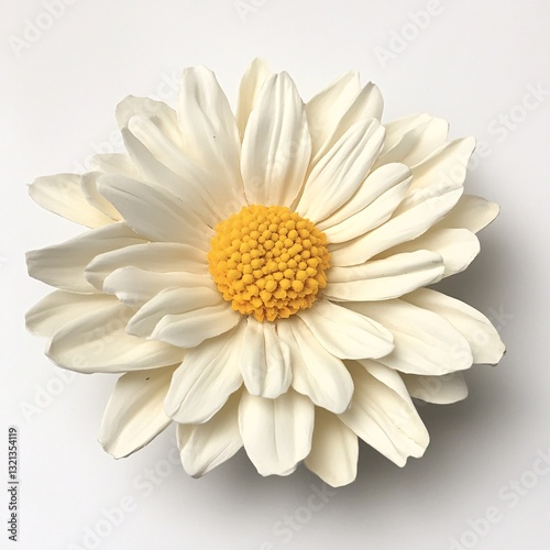 Exquisite Creamy White Polymer Clay Daisy Flower with Yellow Center Close Up Studio Shot