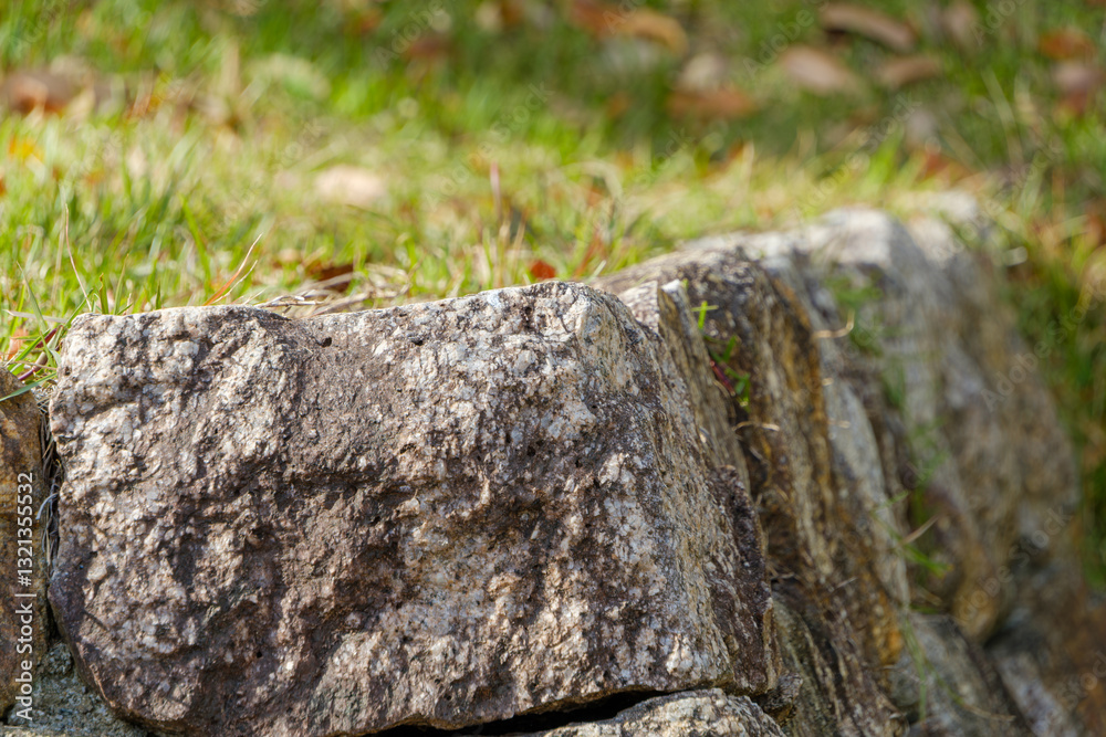 風化した石垣と草