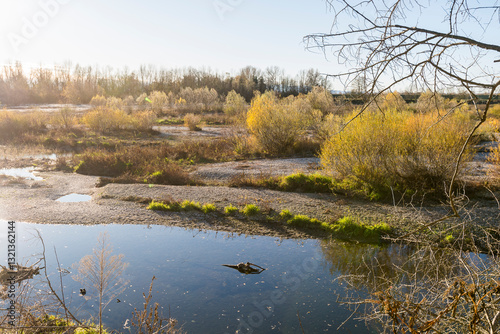 autumnal landscape inside the Santa Sofia ring on the Ticino river, Pavia, Italy
