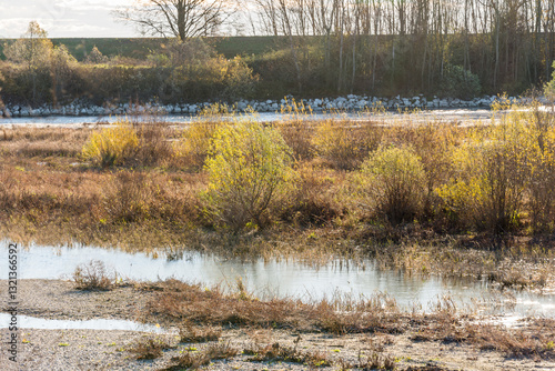 autumnal landscape inside the Santa Sofia ring on the Ticino river, Pavia, Italy