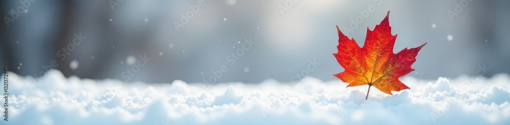 Obraz premium Single delicate maple leaf on a snowy background, single leaf, winter, white background
