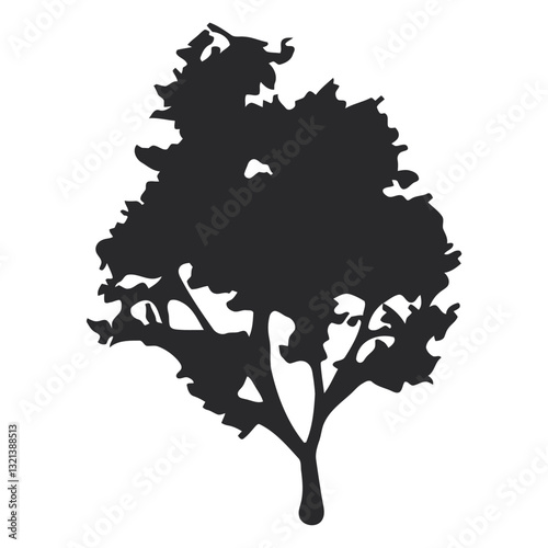 Silhouette of Majestic Tree: A stark, high-contrast image featuring the silhouette of a mature tree, its branches reaching towards the sky against a pristine backdrop.