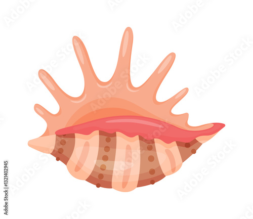 Spider Conch Seashell. Hand drawn trendy flat style isolated icon on a transparent background seashell. Vector illustration