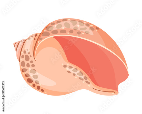 Babylon Seashell. Hand drawn trendy flat style isolated icon on a transparent background seashell Vector illustration