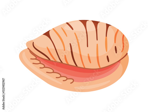 Tiger Cowrie Seashell. Hand drawn trendy flat style isolated icon on a transparent background seashell. Vector illustration