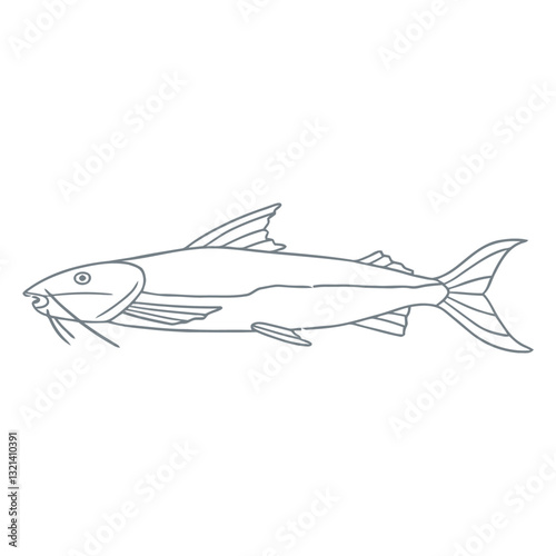Catfish Illustration: A simple, clean illustration of a catfish in profile, perfect for illustrating aquatic environments and educational content.