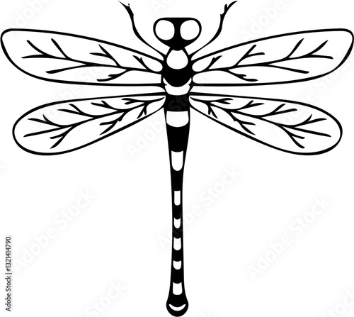 dragonfly vector illustration on with white background 
