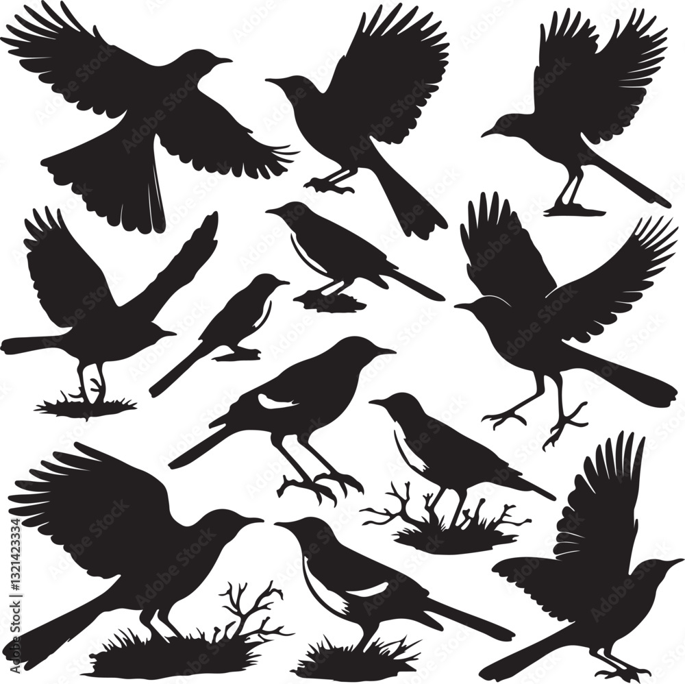 Fototapeta premium A Dance of Wings