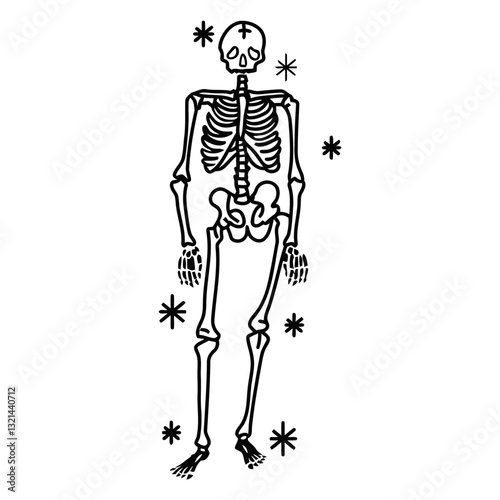 Skeleton Anatomy: A minimalist illustration of a human skeleton, bones and structure, stands in stark contrast, capturing the essence of life's underlying framework