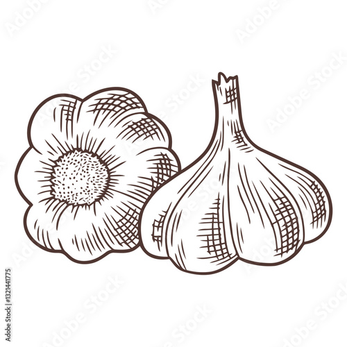 Artistic Garlic Duo: Intricate black and white illustration depicts two garlic bulbs, their textures and forms meticulously detailed to evoke a sense of natural and culinary allure.