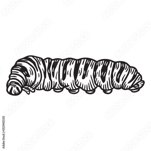Caterpillar Illustration: A detailed illustration of a caterpillar, showcasing its segmented body and textured surface. The style is reminiscent of vintage entomology drawings.