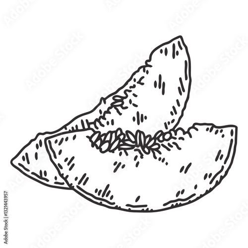 Cantaloupe Slice: An artistic illustration showcases two freshly cut cantaloupe slices, revealing their succulent flesh and dark seeds in a black and white.