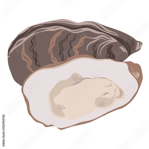 Oyster Delicacy: A pristine illustration of an oyster, showcasing its intricate shell texture, the delicate, succulent meat. perfect representation of food art