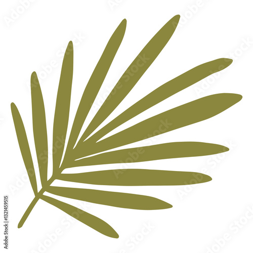 Tropical Leaf Beauty: A captivating view of a palm leaf, a vibrant testament to natural beauty and the tranquility of the tropics.
