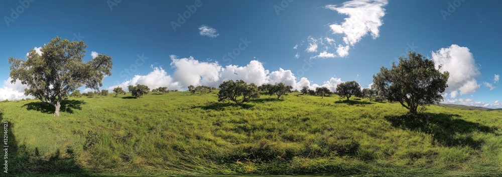 Sunny Hillside Meadow with Oaks Sunny Hillside Meadow with Oaks