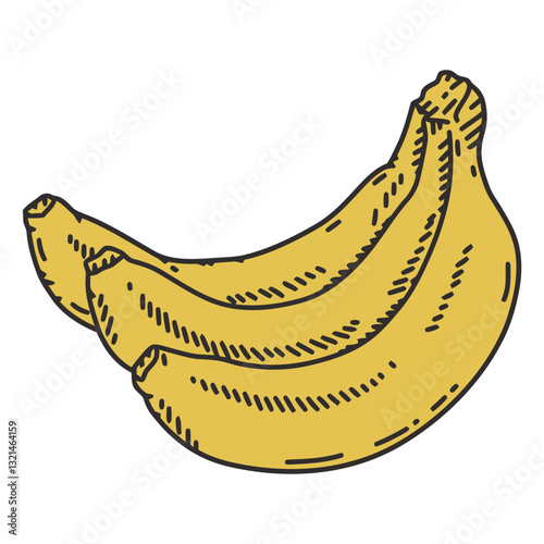 Bunch of Ripe Banana: A close-up of a bunch of ripe bananas, their bright yellow peels hinting at the sweet, creamy fruit within. A simple, inviting illustration of a common, healthy snack.
