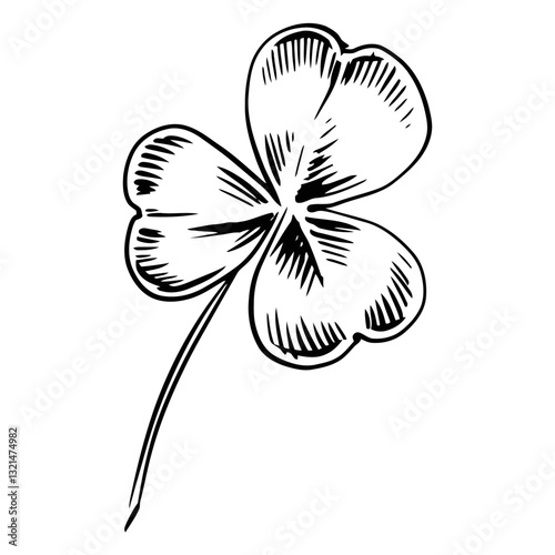 Lucky Clover Illustration: A detailed, hand-drawn illustration of a three-leaf clover, a classic symbol of luck and good fortune. Showcasing intricate linework.
