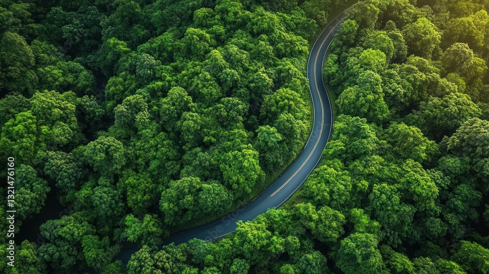 Aerial view of a winding road through dense forest and vibrant green foliage surrounded by mountains Aerial view of a winding road through dense forest and vibrant green foliage surrounded by mountains