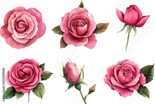 set of pink roses