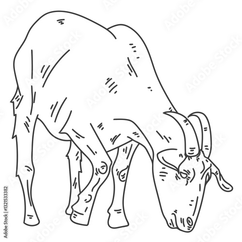 goat grazing line.