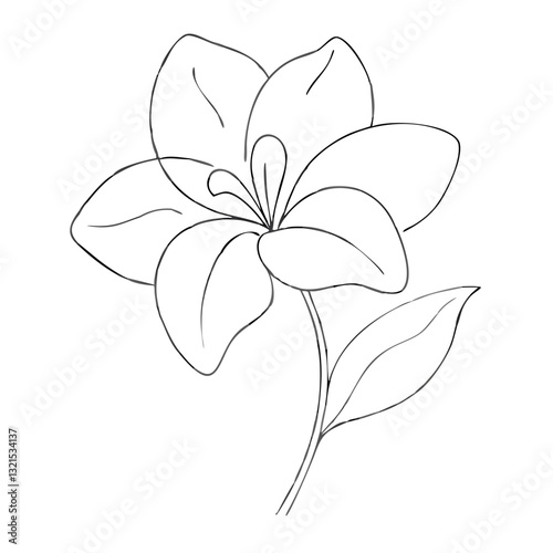 A simple and sophisticated one-line drawing of a lily flower. The elegant and minimalistic design makes it great for floral branding, wedding invitations, and nature-inspired artwork.

