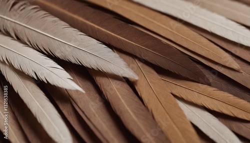 Microscopic Feather Barbules: Barbicel Hooks, Ramus Structure, and Biomimetic Design Applications