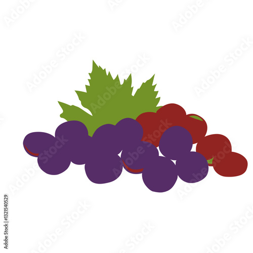 realistic grapes.