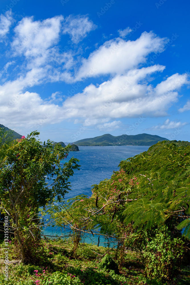 View on Ile de Cabrit island in the Caribbean