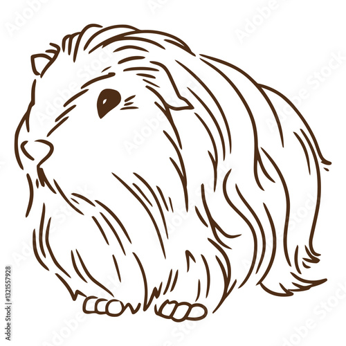 guinea pig stroke peruvian.