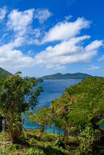 Obraz na płótnie View on Ile de Cabrit island in the Caribbean w salonie